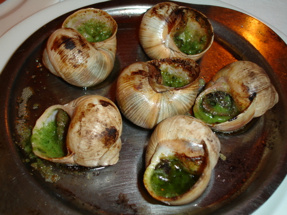 'French cooked snails.' Image by J. Patrick Fischer. (from https://commons.wikimedia.org/wiki/File:Cooked_snails.JPG) This file is licensed under the Creative Commons Attribution-Share Alike 3.0 Unported license.