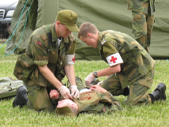 'Medics of the Norwegian Royal Guards.' Image by Kjetil Ree. (from https://commons.wikimedia.org/wiki/File:Norwegian_medics.JPG) This file is licensed under the Creative Commons Attribution-Share Alike 2.5 Generic, 2.0 Generic and 1.0 Generic license.