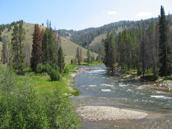 'The Salmon River is the largest tributary of the Snake River. Salmon River in Sawtooth NRA.' Image by Fredlyfish4 at en.wikipedia. (from https://en.wikipedia.org/wiki/File:Salmon_River.JPG) This file is licensed under the Creative Commons Attribution-Share Alike 3.0 Unported license.