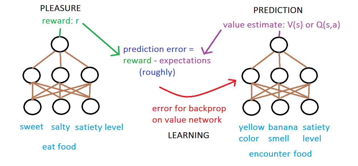 Reward vs. valence networks