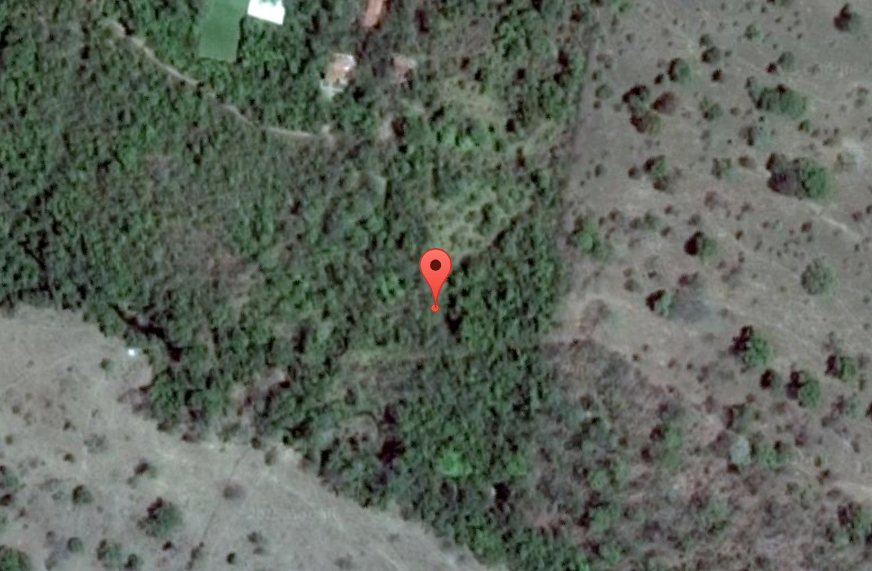 This is a screenshot from Google Earth. The study said: 'Study Area. The study was carried out in a 'Cerrado' area of approximately 30 hectares located within the Pirineus State Park Environmental Protection Area (APA dos Pirineus) in the municipality of Pirenópolis, Goiás (48º 56' 53'' W; 15º 50' 15'' S; 783 m). The local phytophysionomy is classified as 'Cerradão', characterized by the predominance of arboreal species (on average taller than 15 m), with the formation of a continuous canopy cover, without association with watercourses (Ribeiro & Walter 2008).'
